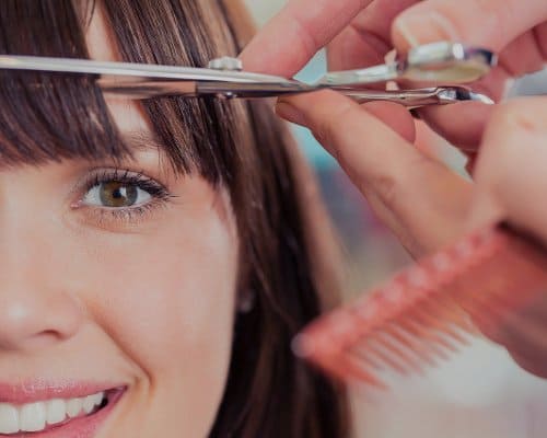 Attestation de total des dépenses 